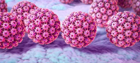 Ruolo Cruciale dell’Immunità Innata e Adattativa nella Gestione delle Infezioni da HPV