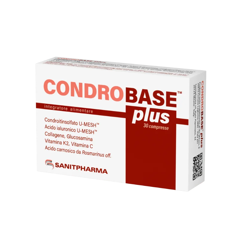 CONDROBASE PLUS