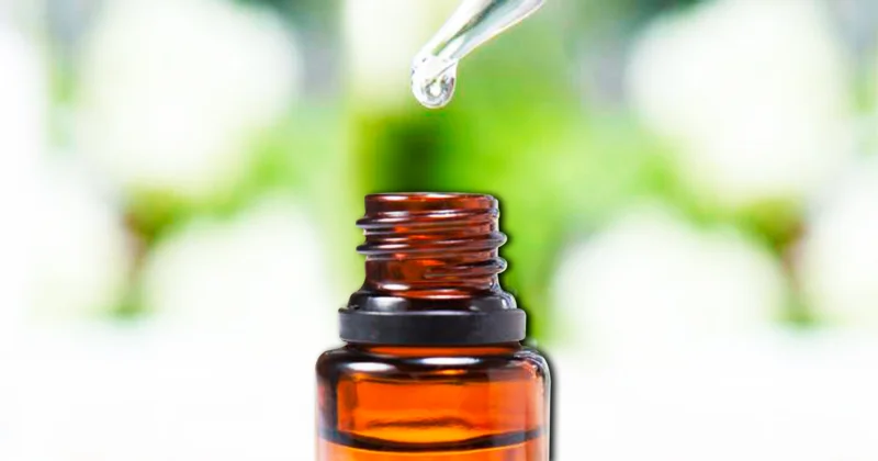 Tea Tree Oil: un alleato naturale contro acne, funghi e infiammazioni